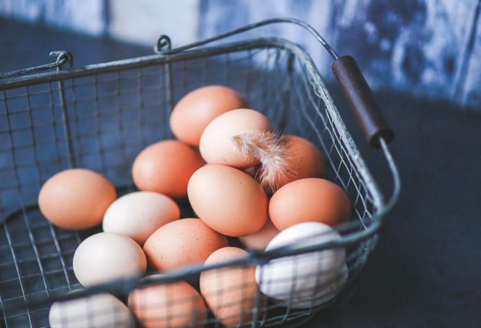 Manage Your Investment Risks with Diversification